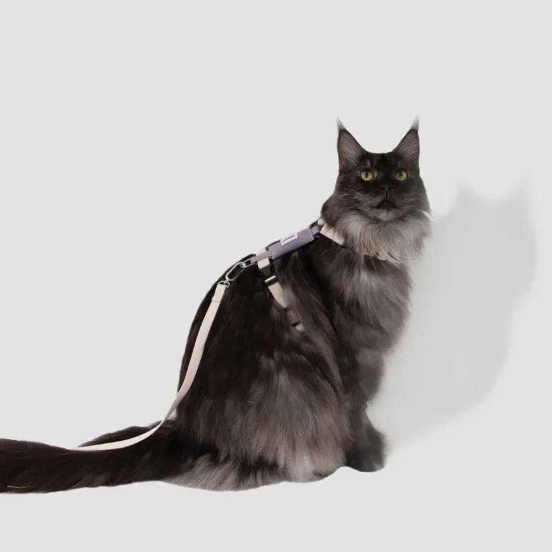 Eco-Friendly Cat Harness & Leash Set  Petrkl  .