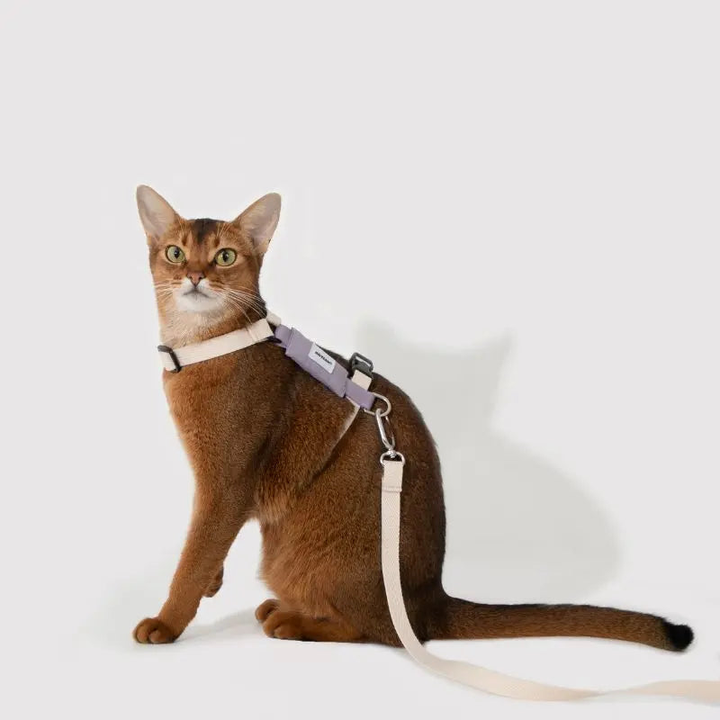 Eco-Friendly Cat Harness & Leash Set  Petrkl  .
