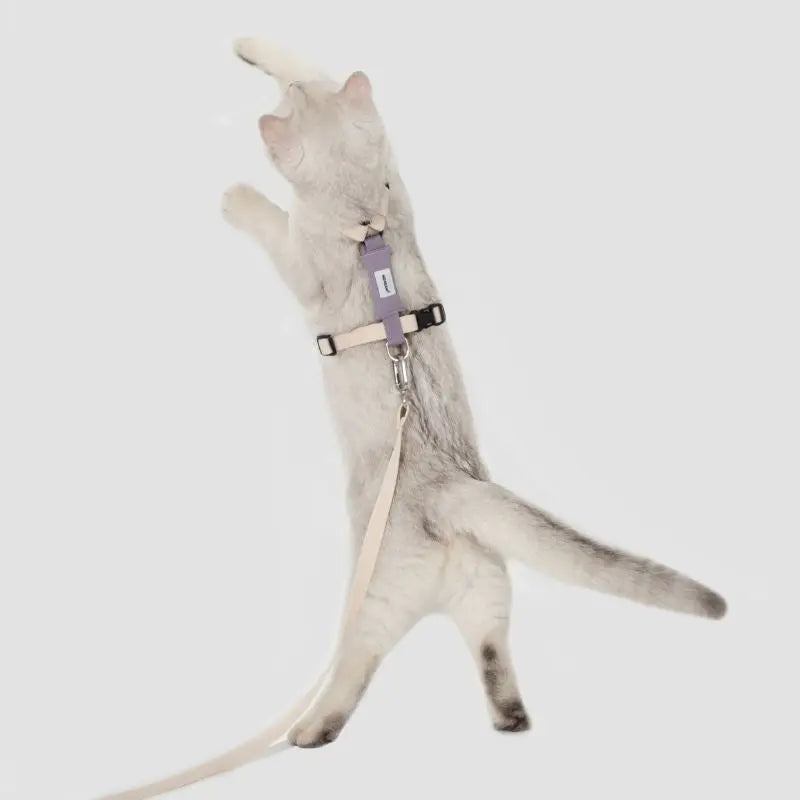 Eco-Friendly Cat Harness & Leash Set  Petrkl  .