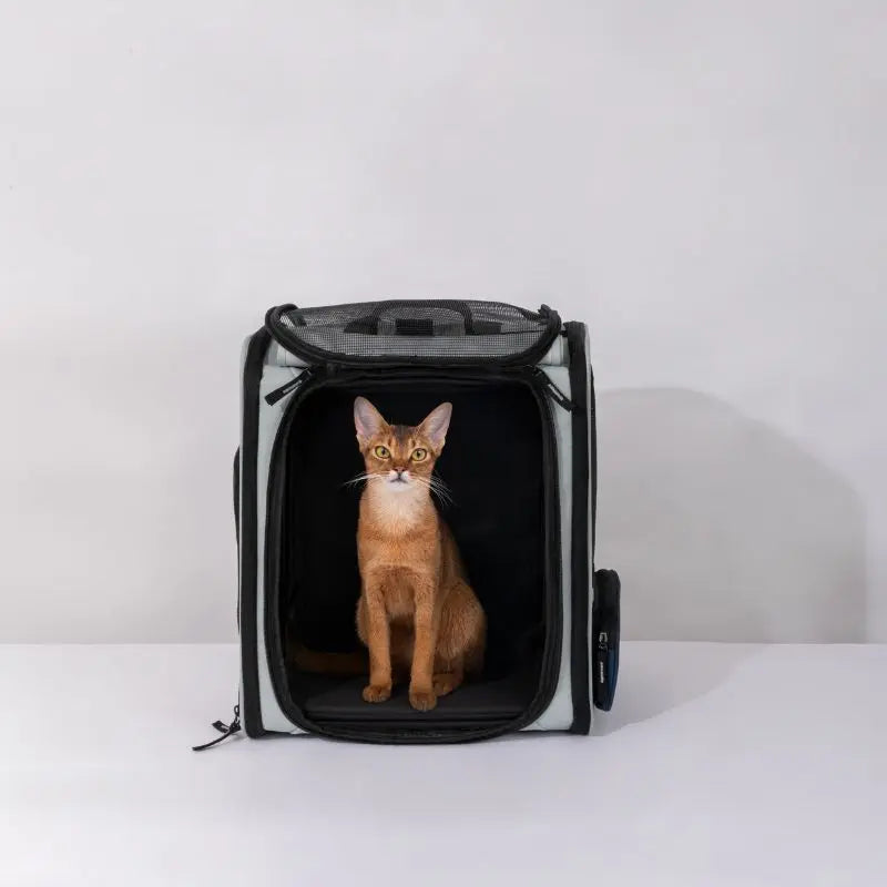 Expandable Pet Carrier – Airline-Approved Cat & Dog Backpack  Petrkl  .