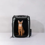 Expandable Pet Carrier – Airline-Approved Cat & Dog Backpack  Petrkl  .