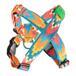 Florida_no pull dog harness