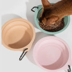 FoldEase Collapsible Dog Bowl for Travel - Petrkl   
