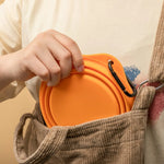 FoldEase Collapsible Dog Bowl for Travel  Petrkl  .