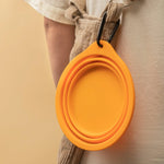 FoldEase Collapsible Dog Bowl for Travel  Petrkl  .