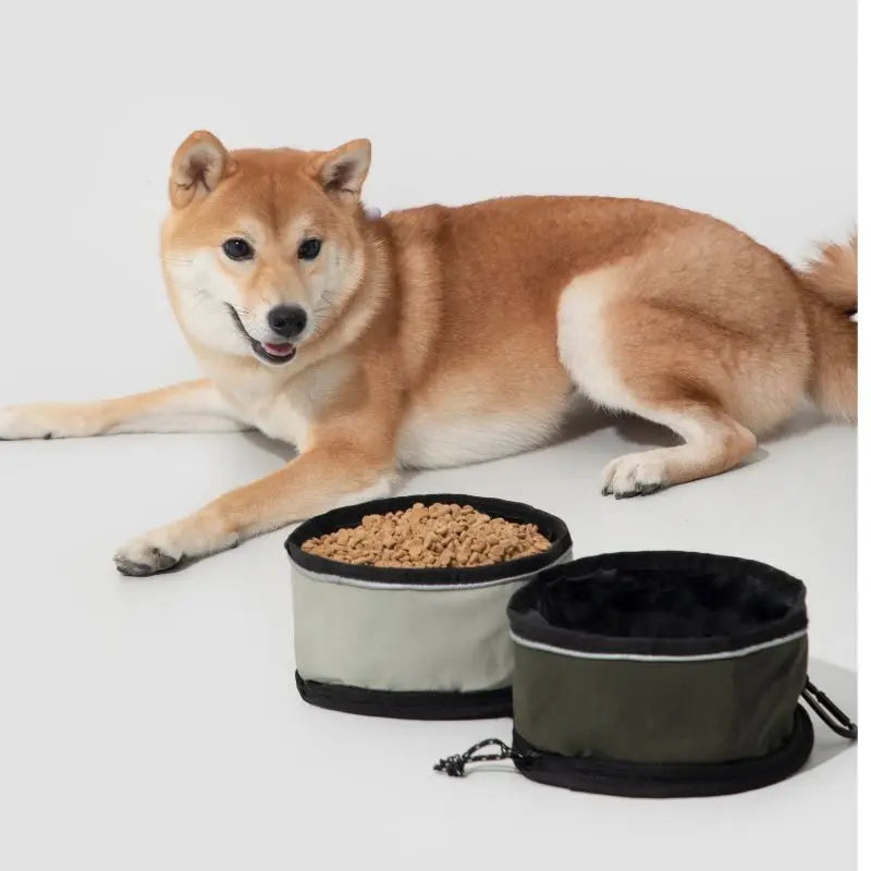 Fold & Go Dog Bowl – Collapsible Travel Bowl for Dogs & Cats (1000ml)  Petrkl  .