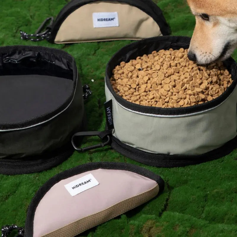 Fold & Go Dog Bowl – Collapsible Travel Bowl for Dogs & Cats (1000ml)  Petrkl  .