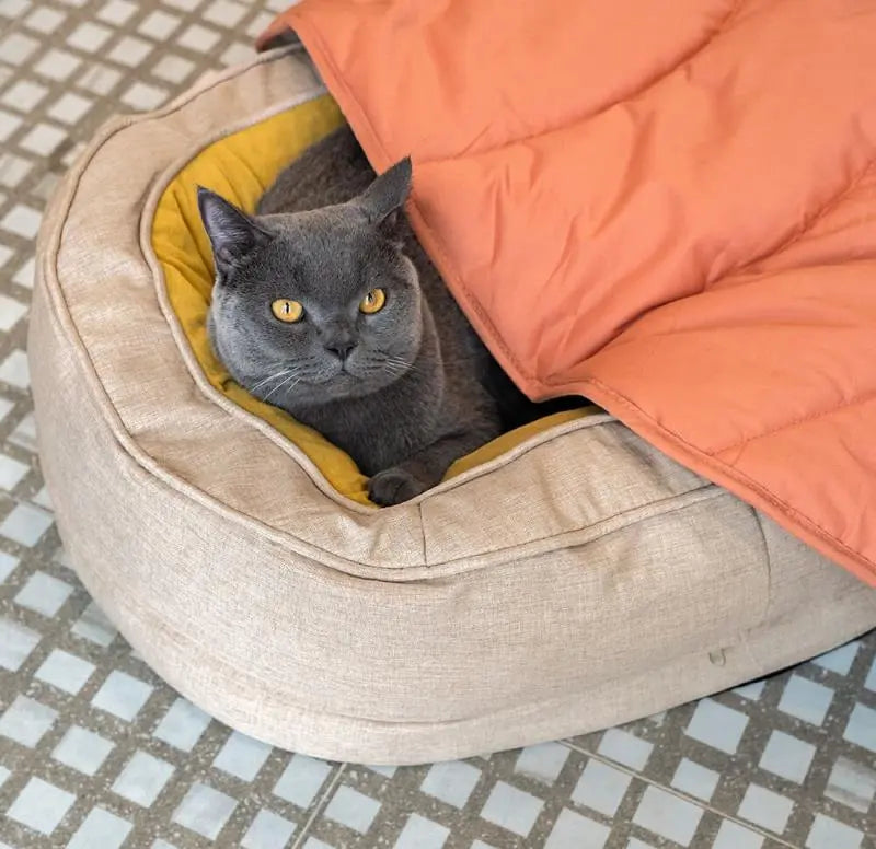 Leaf Shape Dog Blanket for Couch  Petrkl  .