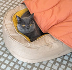 Leaf Shape Dog Blanket for Couch  Petrkl  .
