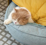 Leaf Shape Dog Blanket for Couch  Petrkl  .