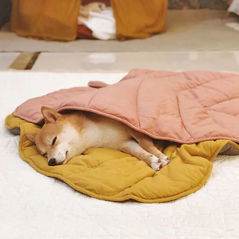 Leaf Shape Dog Blanket for Couch  Petrkl  .