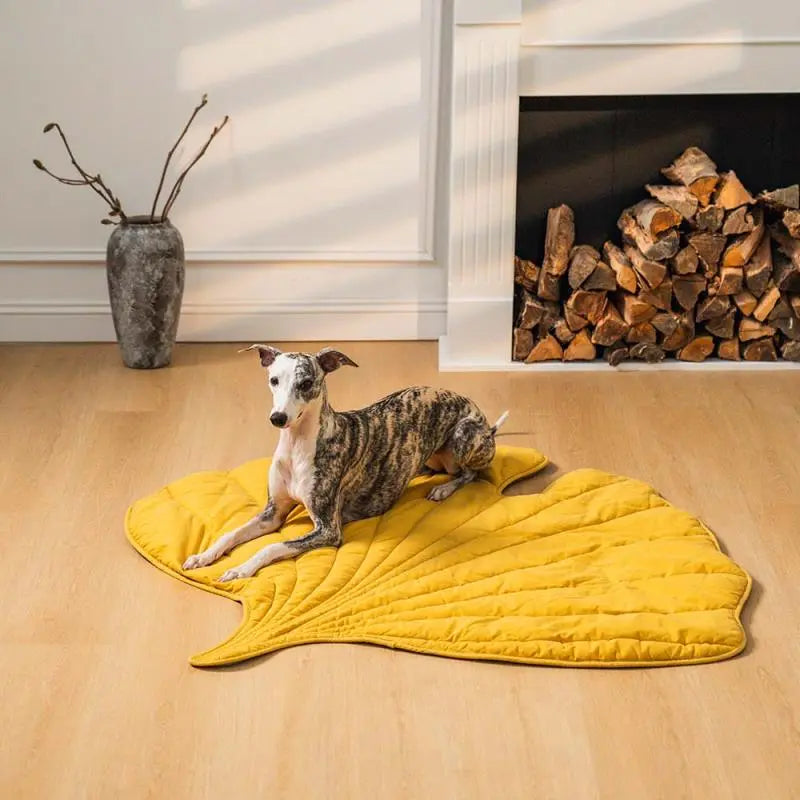 Leaf Shape Dog Blanket for Couch  Petrkl  .