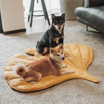 Leaf Shape Dog Blanket for Couch  Petrkl  .