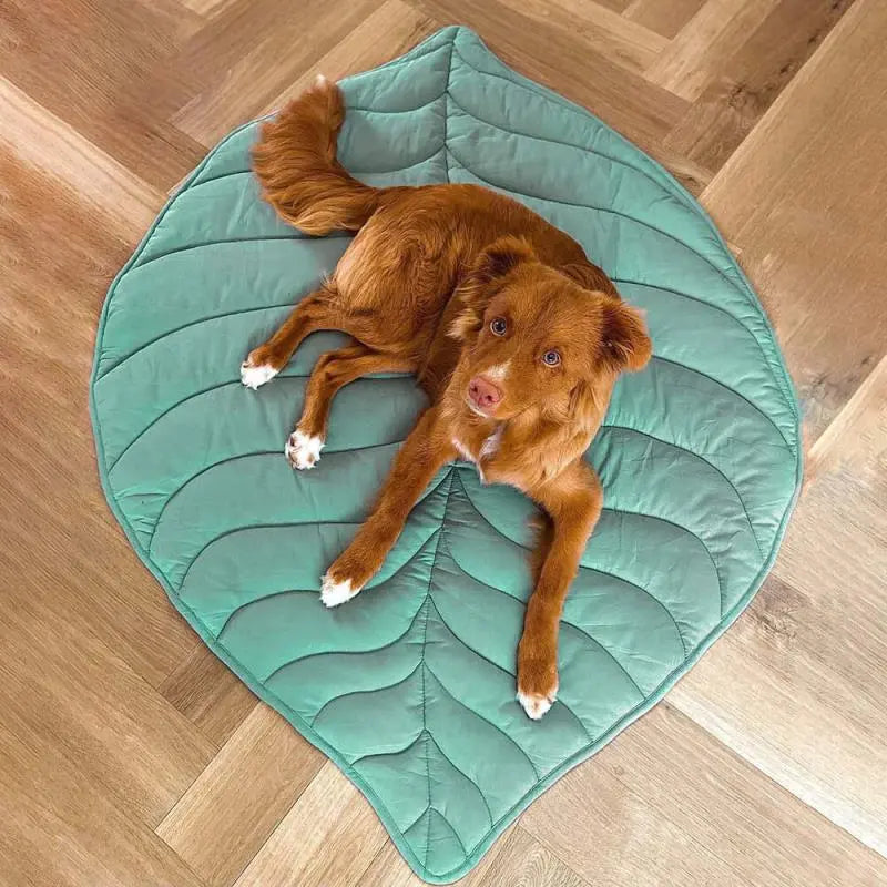 Leaf Shape Dog Blanket for Couch  Petrkl  .