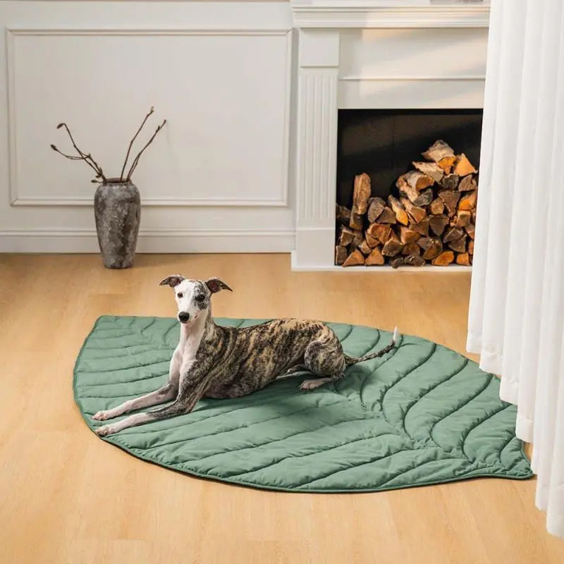 Leaf Shape Dog Blanket for Couch petrkl 21