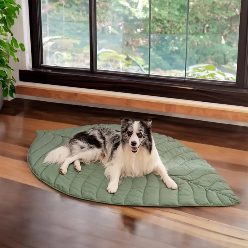 Leaf Shape Dog Blanket for Couch petrkl 22
