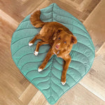 Leaf Shape Dog Blanket for Couch  Petrkl  .