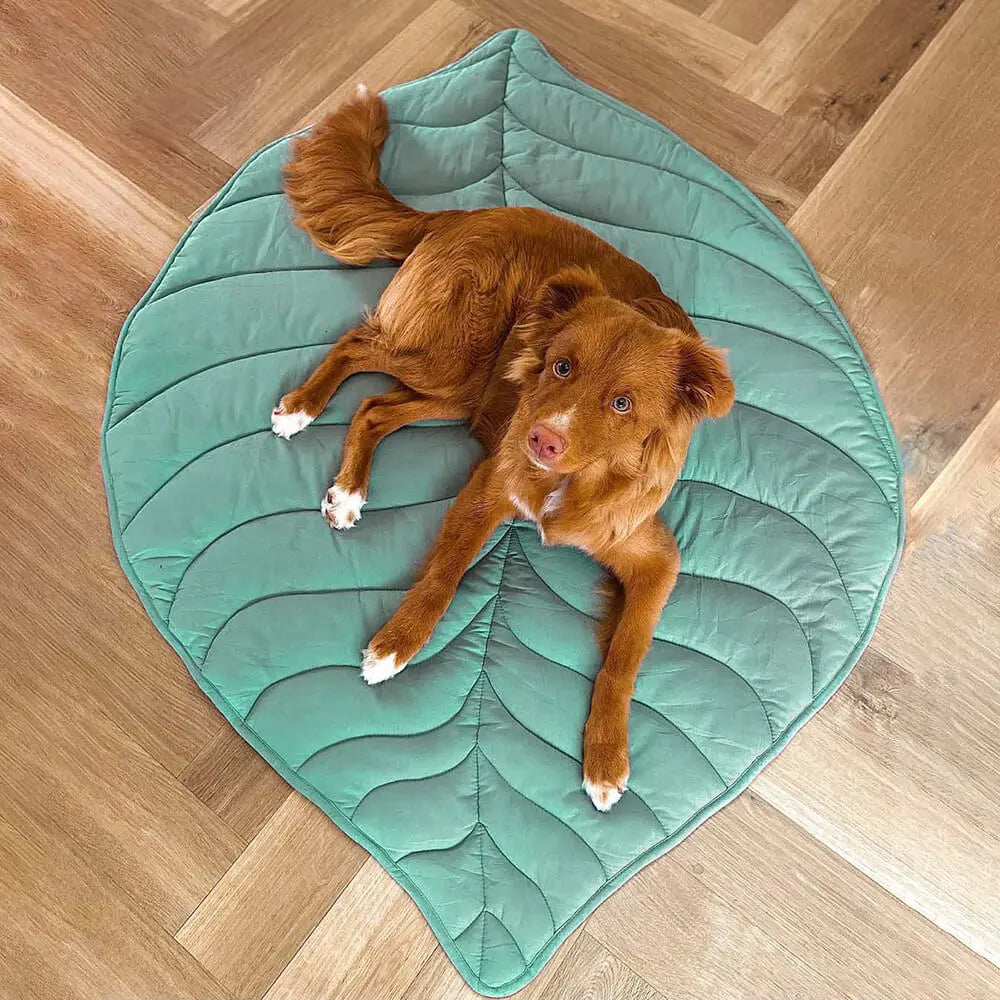 Leaf Shape Dog Blanket for Couch  Petrkl  .