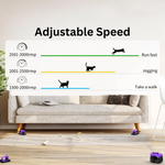 PETRKL V1 Max – Dual Mode Interactive Cat Toy with Remote & Auto Timer 3