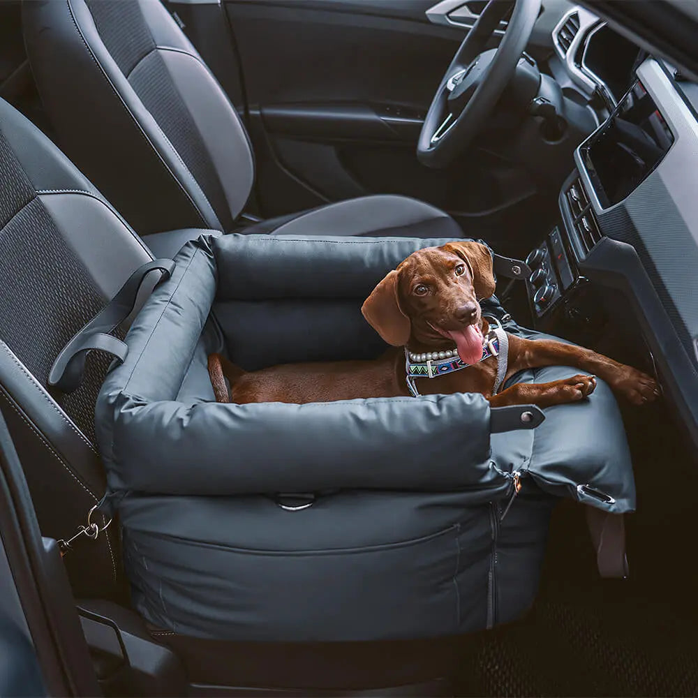 PawVoyage Dog Car Bed – 2-in-1 Dog Carrier & Travel Bed for Cars and Home  Petrkl  .