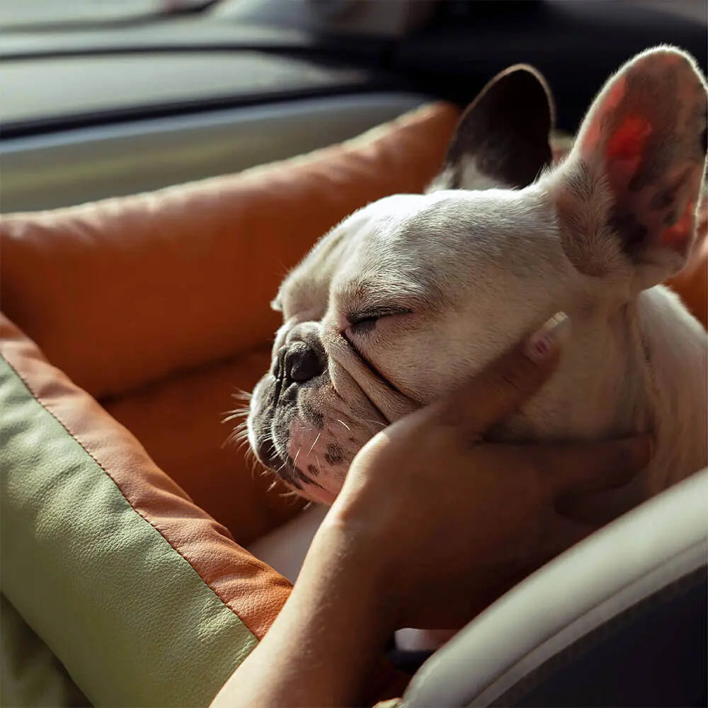 PawVoyage Dog Car Bed – 2-in-1 Dog Carrier & Travel Bed for Cars and Home  Petrkl  .