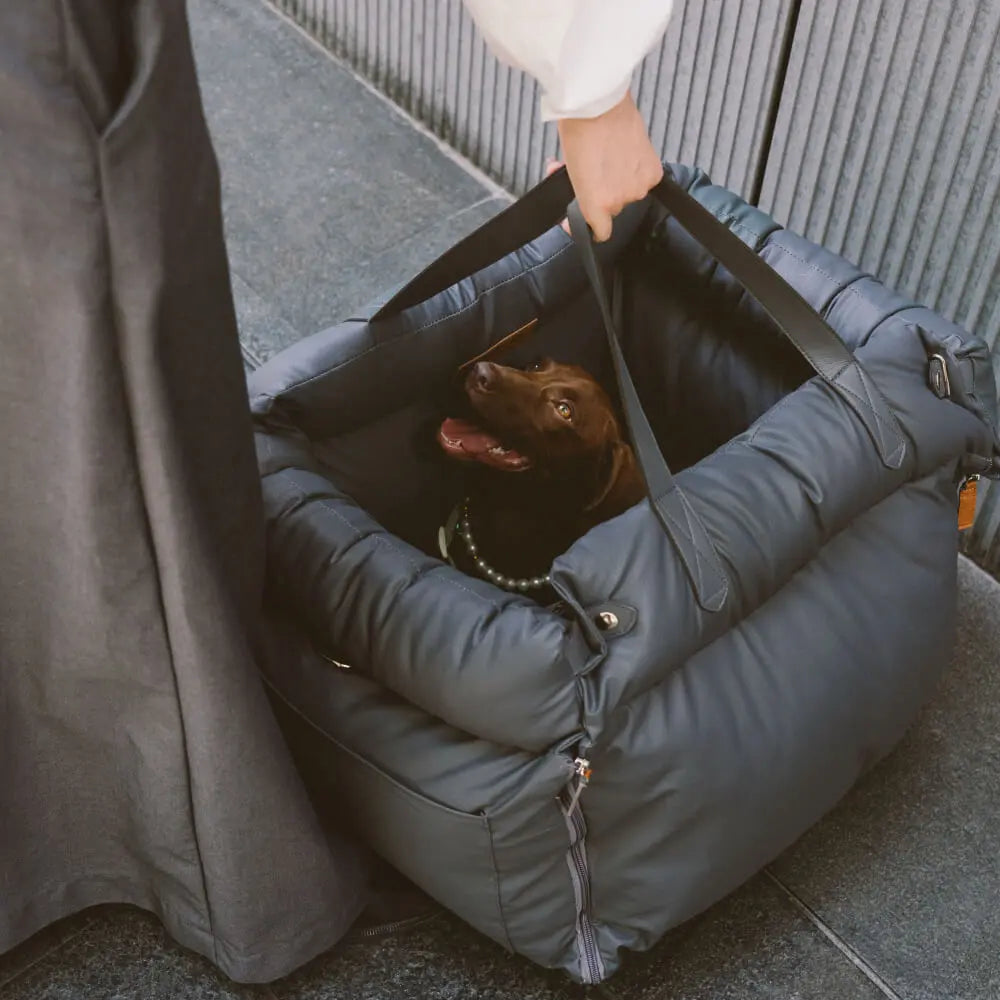 PawVoyage Dog Car Bed – 2-in-1 Dog Carrier & Travel Bed for Cars and Home  Petrkl  .