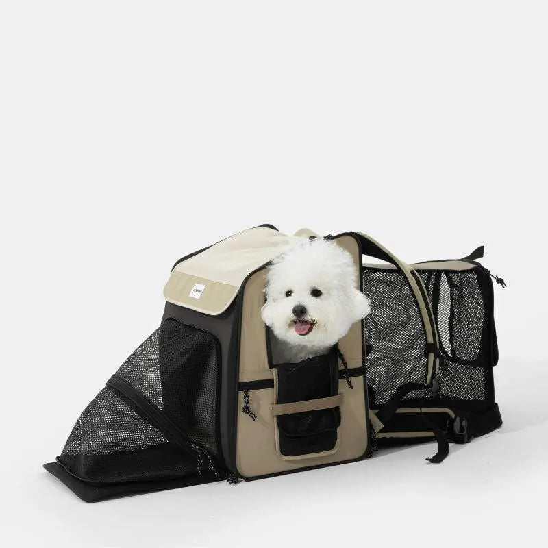 Pet tent carrier for multiple cats or small dogs