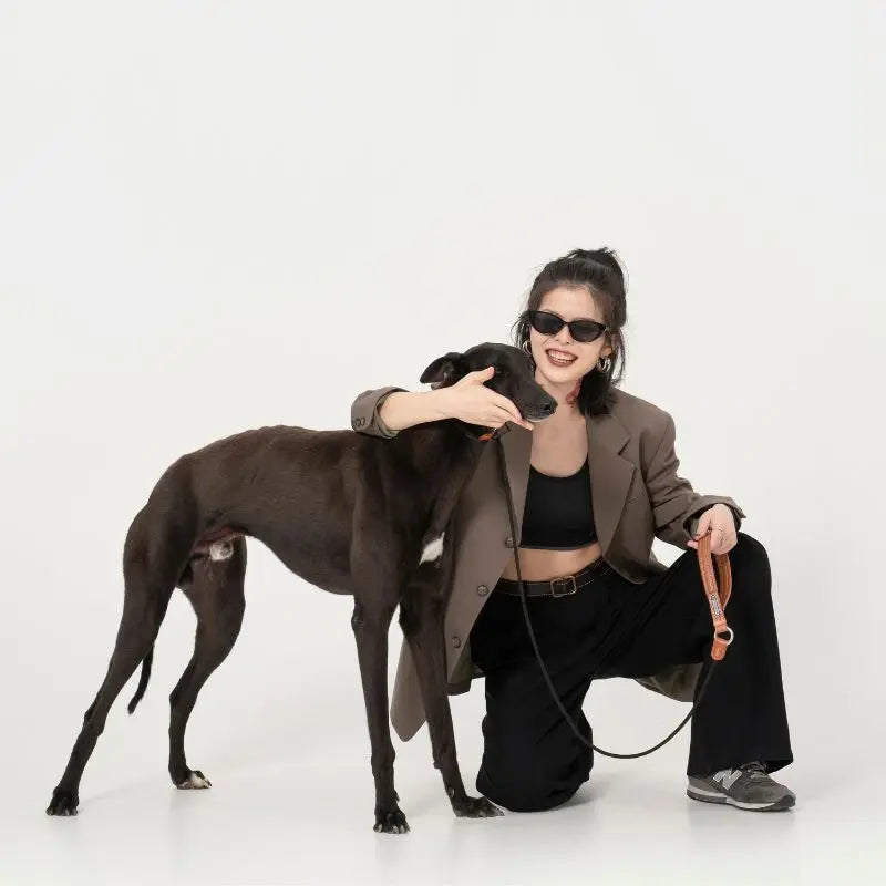 Petrkl™ CommandLoop– Premium Slip Lead Dog Leash with Leather Handle  Petrkl  .