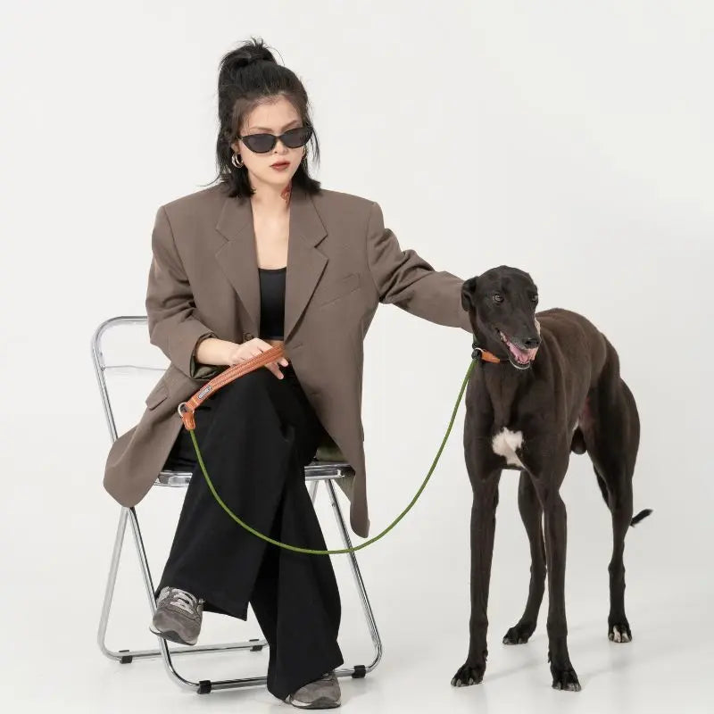 Petrkl™ CommandLoop– Premium Slip Lead Dog Leash with Leather Handle  Petrkl  .