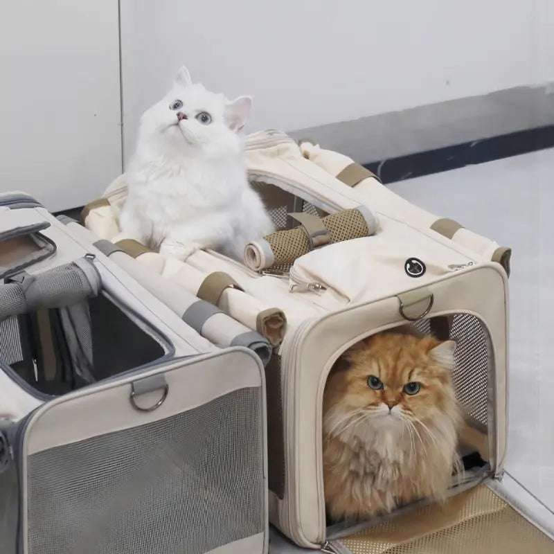 Petrkl™ Foldable Cat Carrier  Petrkl  .