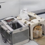 Petrkl™ Foldable Cat Carrier  Petrkl  .