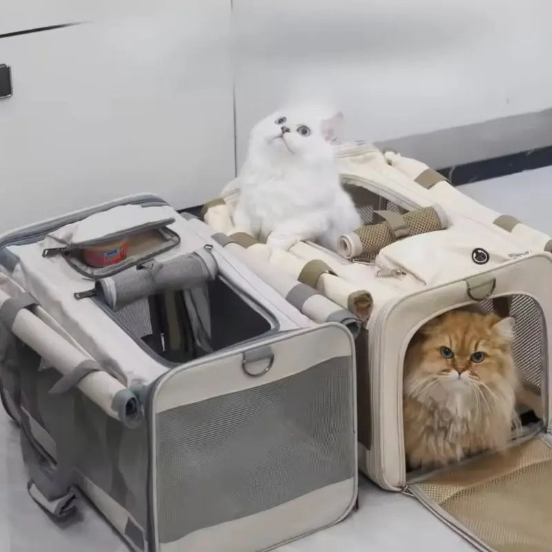 Petrkl™ Foldable Cat Carrier  Petrkl  .