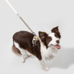 Petrkl™ PressureFree Dog Harness Petrkl 10
