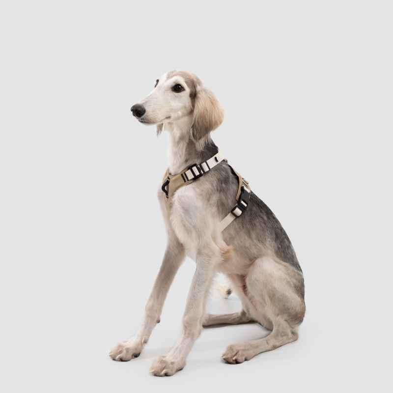 Petrkl™ PressureFree No-Pull Dog Harness 