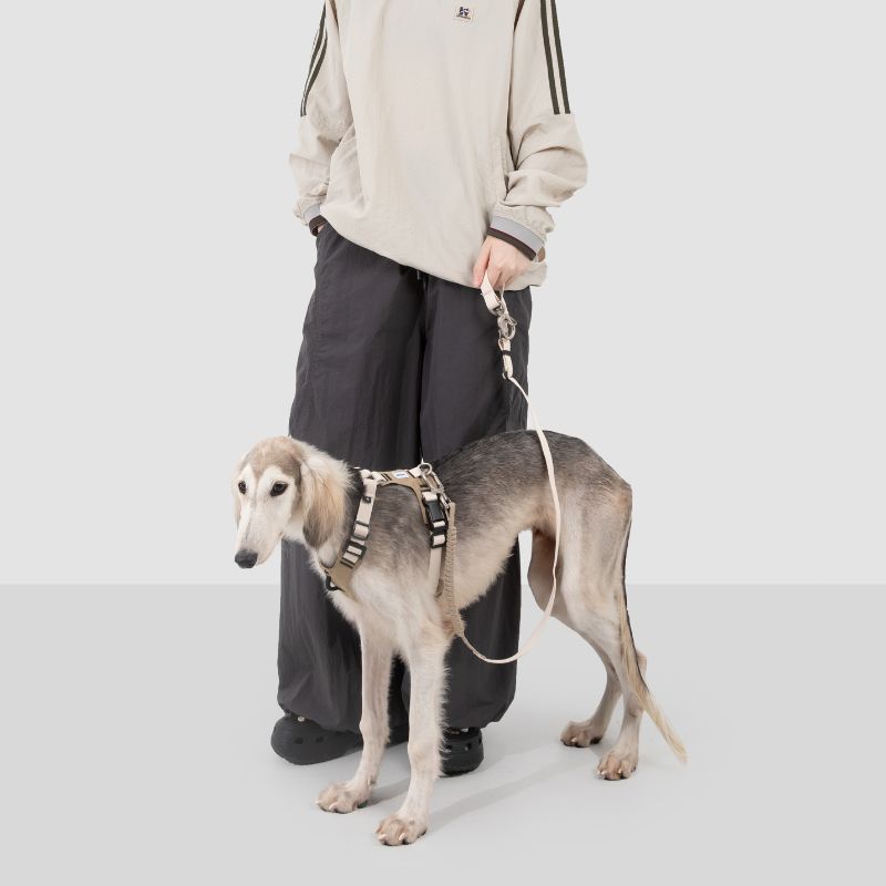 Petrkl™ PressureFree No-Pull Dog Harness 12