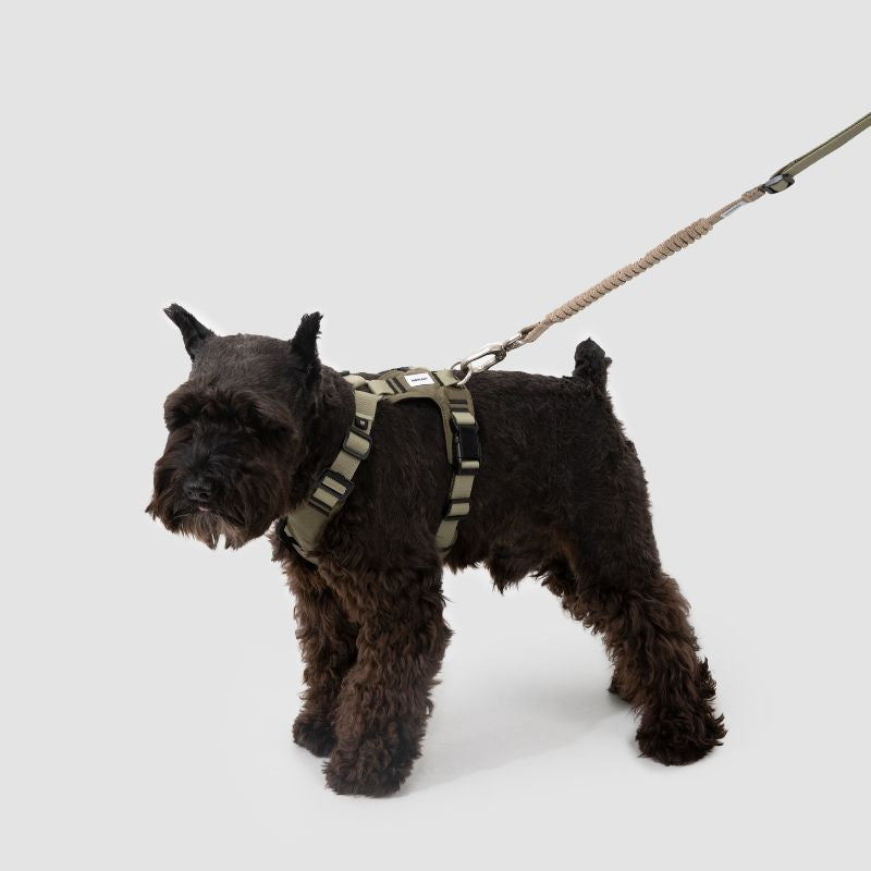 Petrkl™ PressureFree No-Pull Dog Harness 15