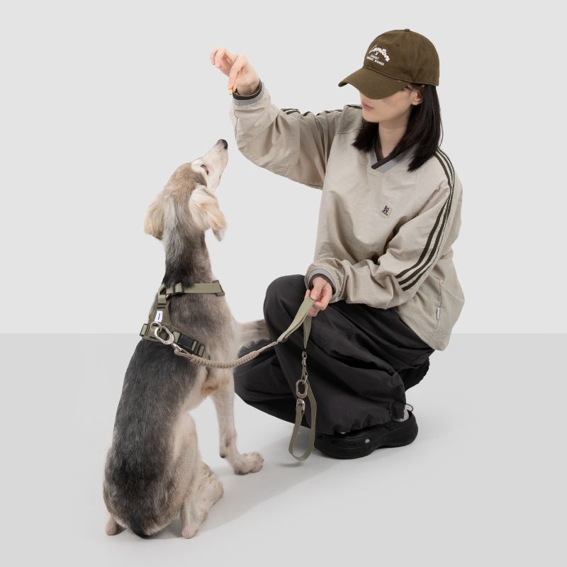 Petrkl™ PressureFree No-Pull Dog Harness 13