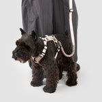 Petrkl™ PressureFree No-Pull Dog Harness 14