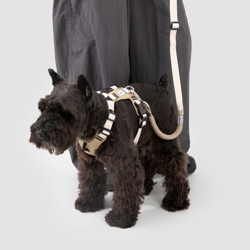 Petrkl™ PressureFree No-Pull Dog Harness 14