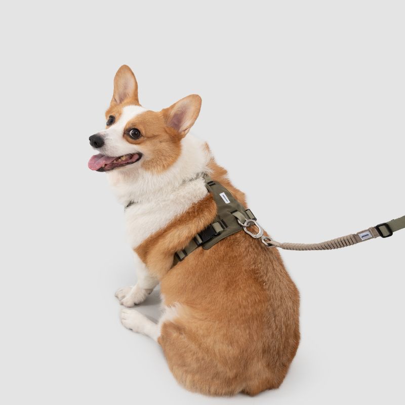 Petrkl™ PressureFree No-Pull Dog Harness 1