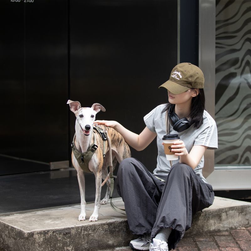 Petrkl™ PressureFree Dog Harness Petrkl