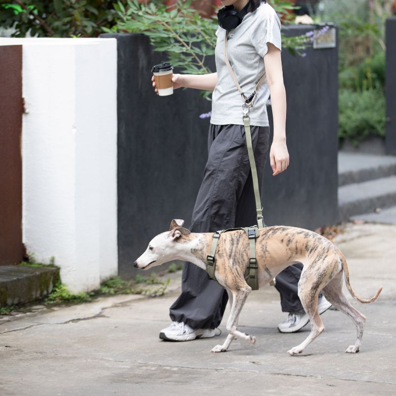 Petrkl™ PressureFree No-Pull Dog Harness 21