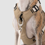 Petrkl™ PressureFree No-Pull Dog Harness 3