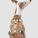 Petrkl™ PressureFree No-Pull Dog Harness 