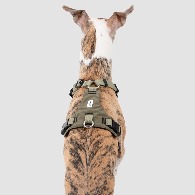 Petrkl™ PressureFree No-Pull Dog Harness 9