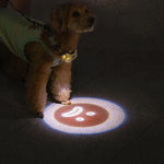 USB Rechargeable LED Dog Collar Light for Night Walks  Petrkl  Collars.