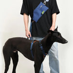 UrbanGlide Dog Harness – Hands-Free Control for Training & Walks  Petrkl  .