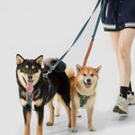 UrbanGlide Dog Harness – Hands-Free Control for Training & Walks petrkl 26