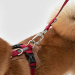 UrbanGlide Dog Harness – Hands-Free Control for Training & Walks petrkl 28