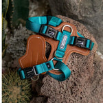 UrbanGlide Dog Harness – Hands-Free Control for Training & Walks  Petrkl  .